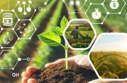 chelated micronutrients